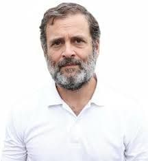 राजनीति छोड़ कर राहुल गांधी को स्टैंड-अप कॉमेडियन बन जाना चाहिए - फडणवीस